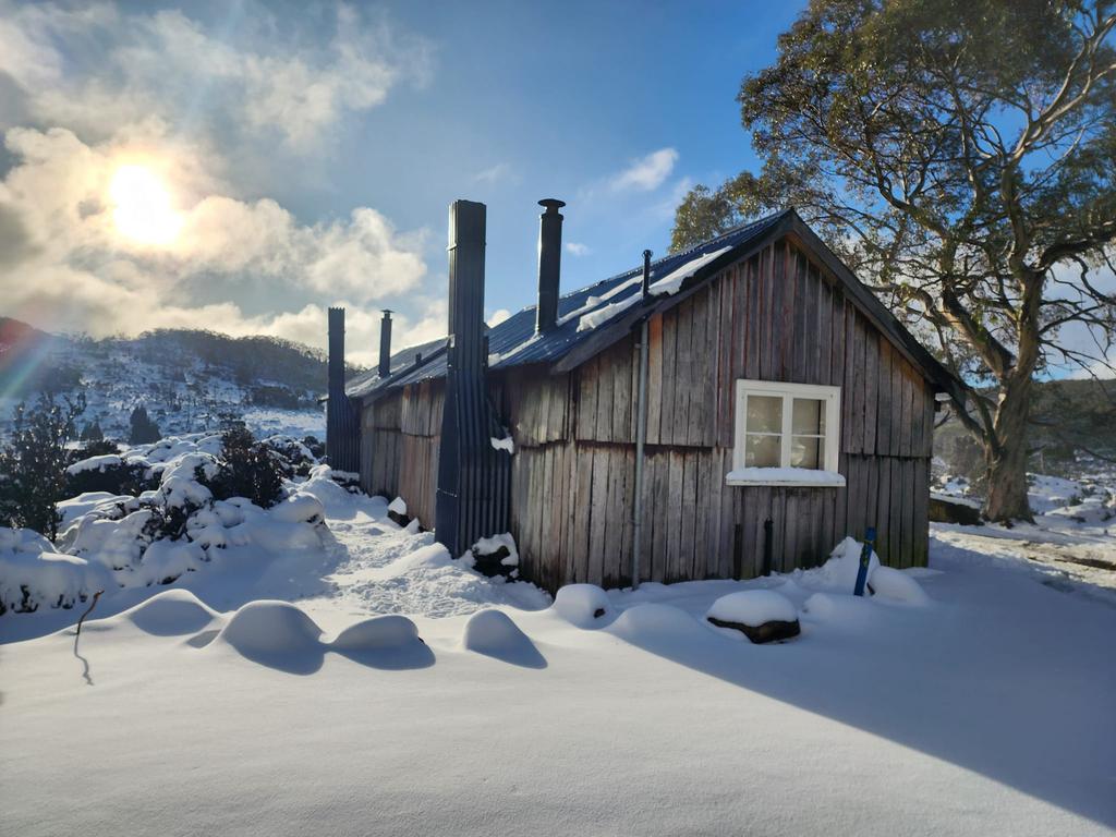 Mount Field copped a decent dusting of snow on Monday and Tuesday. Photo: Rebekah de Brey