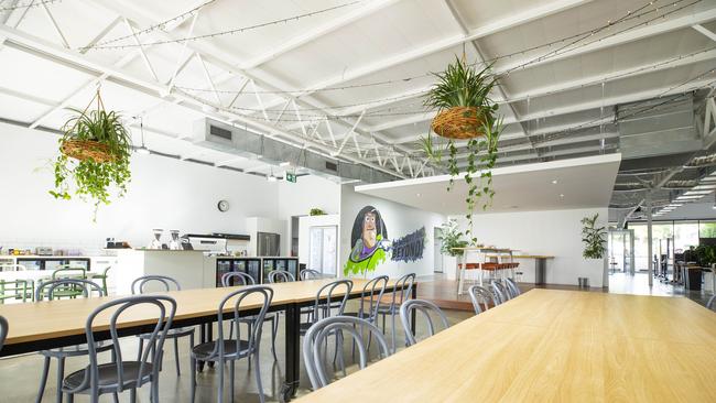 Hometown unicorns: Go1 has expanded to have offices in the US, UK, South Africa and Asia and it all began in Logan. Picture: Renae Droop