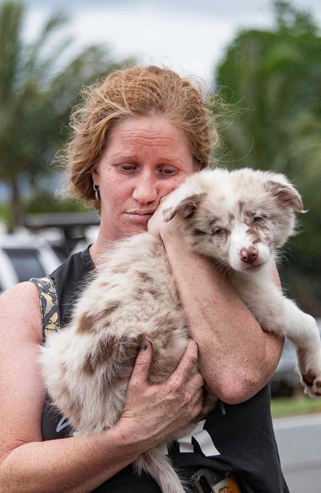 A woman turns to her puppy for comfort after being evacuated from her home in the northern suburbs of Cairns. Picture: Brian Cassey/AFP