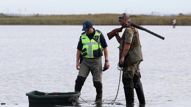 The 2023 season was cut from 90 to 35 days, but hunters still managed to harvest as many ducks as other years. Picture: Yuri Kouzmin