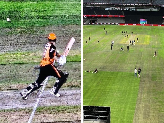 The Marvel Stadium surface for the Big Bash was substandard.