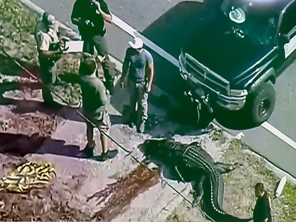 Florida Woman Found In Alligators Jaws Was Arrested For Trespassing Two Months Ago Daily 9149