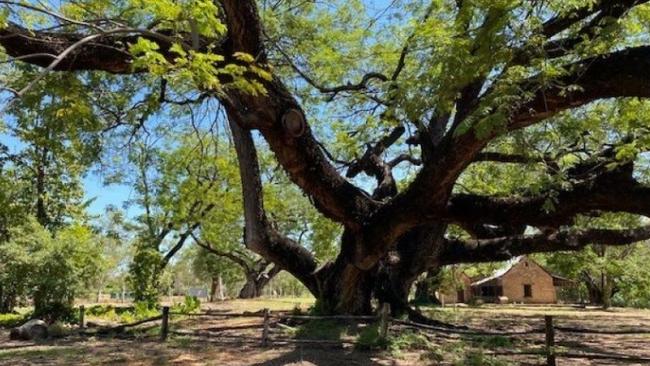 Springvale Homestead Park. Picture: Supplied