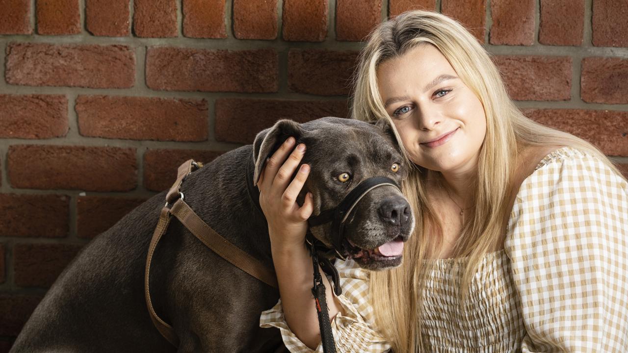 Cait and Co Pet Minding owner Caitlyn Hamilton with her mastiff Reaper. Picture: Kevin Farmer