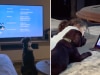 There's a reason your dog loves watching Bluey