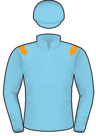 2019 Melbourne Cup runner Raymond Tusk.