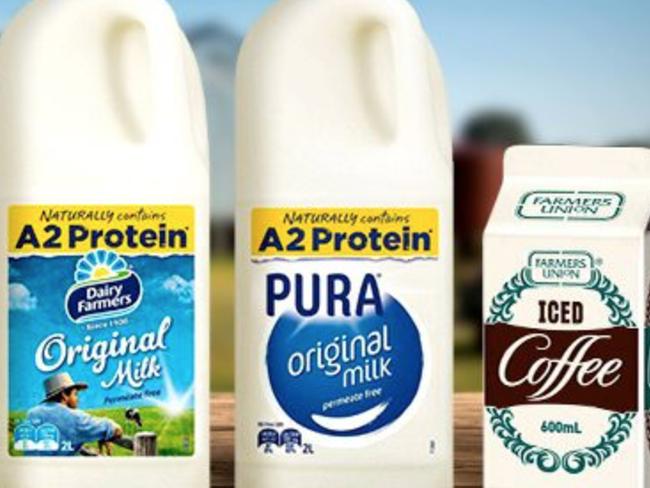 Lion's Dairy Farmers and Pura Milk