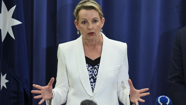 Deputy Opposition Leader Sussan Ley said the Voice to Parliament could pose a threat to national days of commemoration such as Anzac Day and Australia Day. Picture: NCA NewsWire / Martin Ollman