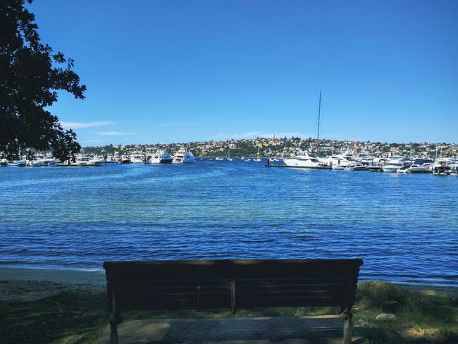 Rose Bay Beach, where one of the dogs was reportedly poisoned.