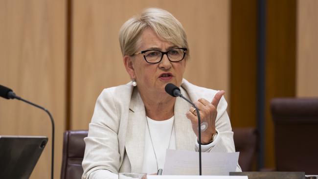 Senator Barbara Pocock said it is ‘implausible’ that Luke Sayers knew nothing of PwC’s tax scandal. Picture: NewsWire / Martin Ollman