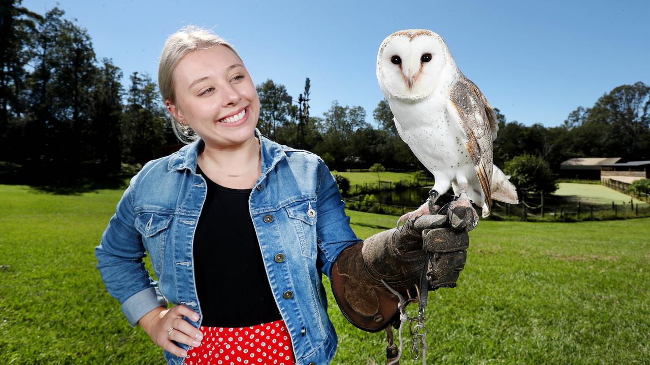 Tamara Cantwell with Milo the Barn Owl at Lone Pine Koala Sanctuary, the best known attraction in Fig Tree Pocket. Picture: Tara Croser