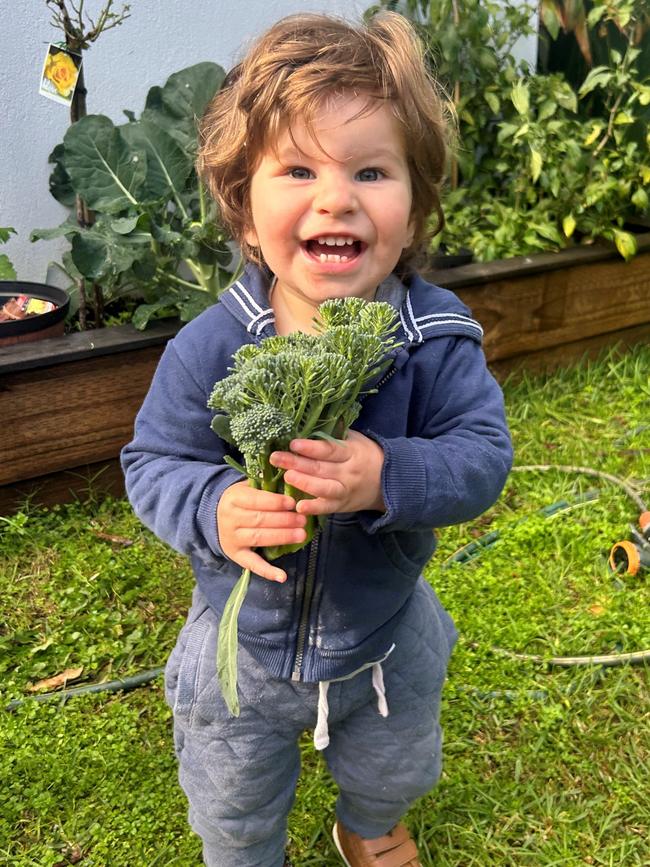 Little Joe’s death in September 2024 after waiting for care at Northern Beaches Hospital has already sparked major changes. Picture: Supplied