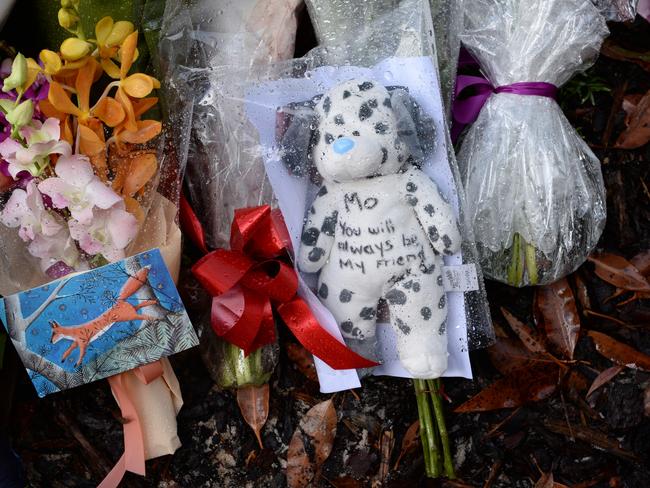 Tributes to Scotch College student Mo Maslin, who was a victim of the MH17 tragedy.