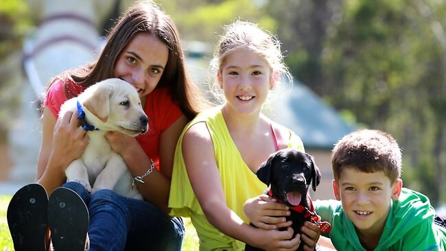 The Richardsons adopt guide dog puppy Remy | Daily Telegraph