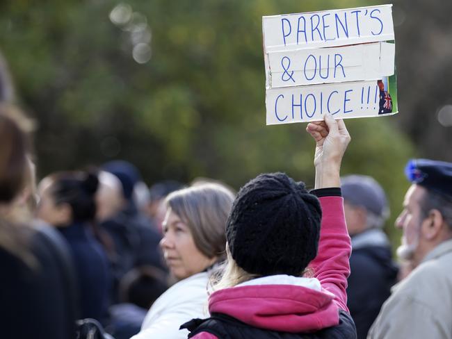 Anti Vaccination Rally in The Flagstaff Garden.