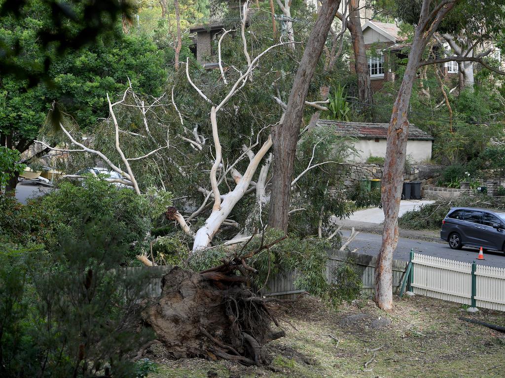 Storm damage is seen in Gordon, north of Sydney, Tuesday, November 26, 2019. A severe fast moving thunderstorm has passed over Sydney resulting in fallen trees and downed power lines in several Sydney suburbs. (AAP Image/Dan Himbrechts)