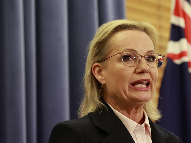 Leader of the Opposition Sussan Ley addresses the media at a press conference at Parliament House on May 13, 2025 in Canberra. Ley became the first woman to lead the party after winning a party room vote 29-25 against Angus Taylor. Picture: Hilary Wardhaugh/Getty Images