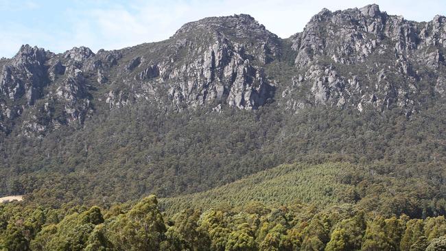 Mt Roland from Claude Road