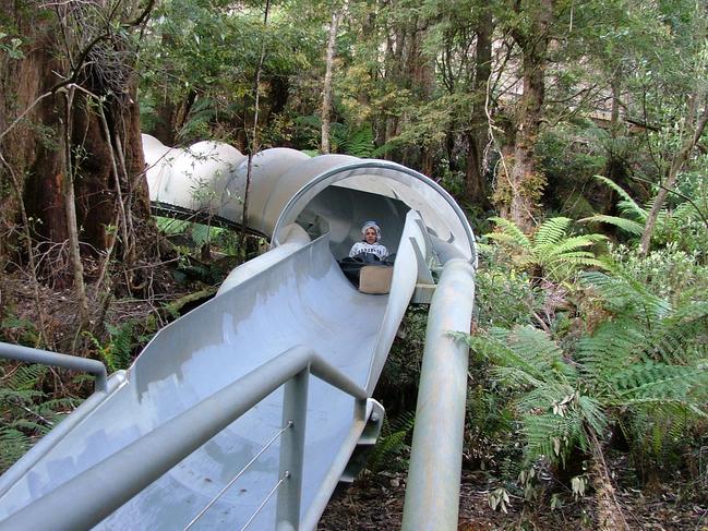 110m slide at Dismal Swamp, Tasmania./Tasmania