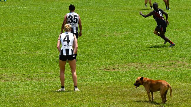 Images from the Round 9 NTFL MPL/WPL clash between the Tiwi Bombers and Palmerston Magpies at Bathurst Island, 30 November 2024. Picture: Darcy Jennings