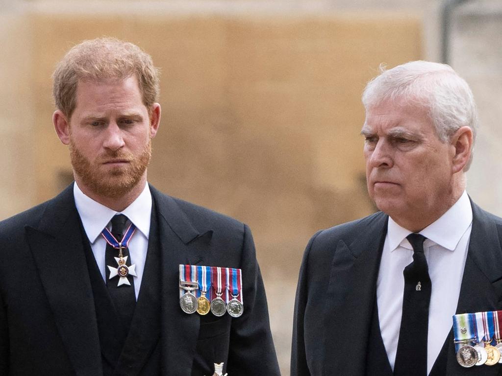 Prince Harry and Prince Andrew are still Counsellors of State – but chances are slim that they would ever be called to act in the role. Picture: David Rose/AFP