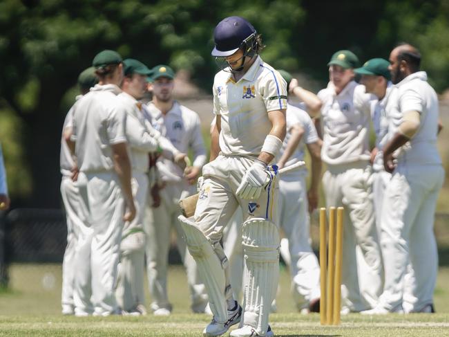 Box Hill bunches after dismissing Ormond batsman Tom Buchanan. Picture: Valeriu Campan