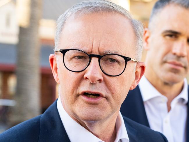 Albo’s election sledge backfires