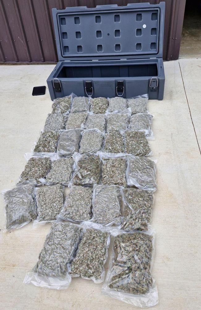 Mackay detectives have seized $100,000 worth of marijuana and $7200 in cash. Picture: QPS