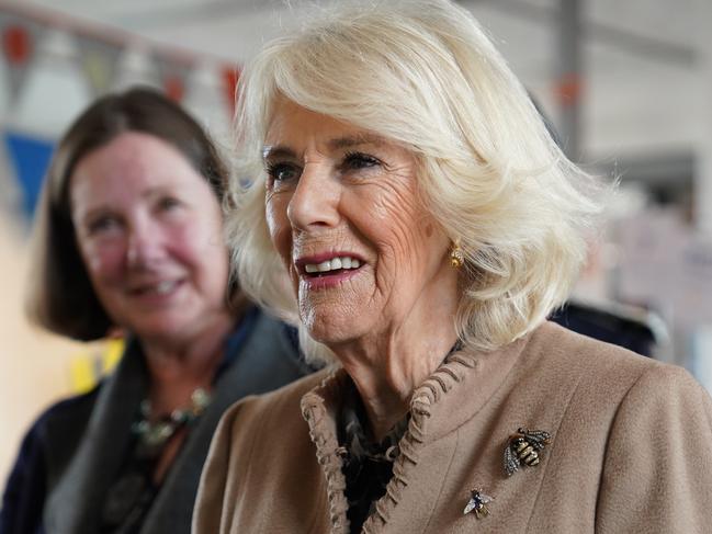 Queen Camilla has given an update on Princess Catherine. Picture: Getty Images