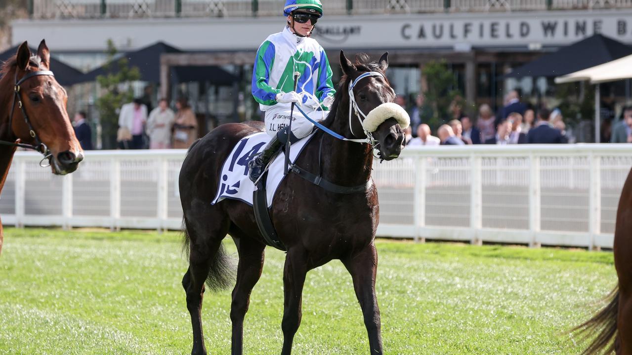 yo ></noscript> deshabilitado»/></figure>
<p><i>Me gustaría ganar el Sir Rupert Clarke Stakes el sábado.  Imagen: George Sall — Fotos de carreras a través de Getty Images.</i></p>
<p>Tras su debut en Australia el mes pasado, Chitick finalmente vendió I Wish I Win «Cuantitativo» Recibí ofertas, pero Miracle Foal es demasiado alto para vender en este momento.</p>
<p>«Hace un año que no puedo venderlo, pero ahora se ha convertido en un caballo sentimental para todos nosotros aquí en la finca.» Él dijo.</p>
<p>«Tuvimos una gran oportunidad de comprarlo después de esa victoria en Australia, pero ahora está muy emocionado con nosotros, por lo que el dinero no lo comprará.»</p>
<p><strong><a target=