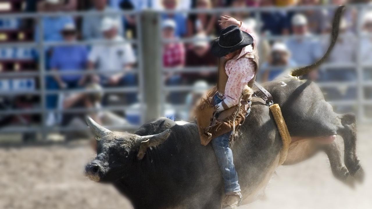 Teen trampled by bull, taken to hospital with head injuries
