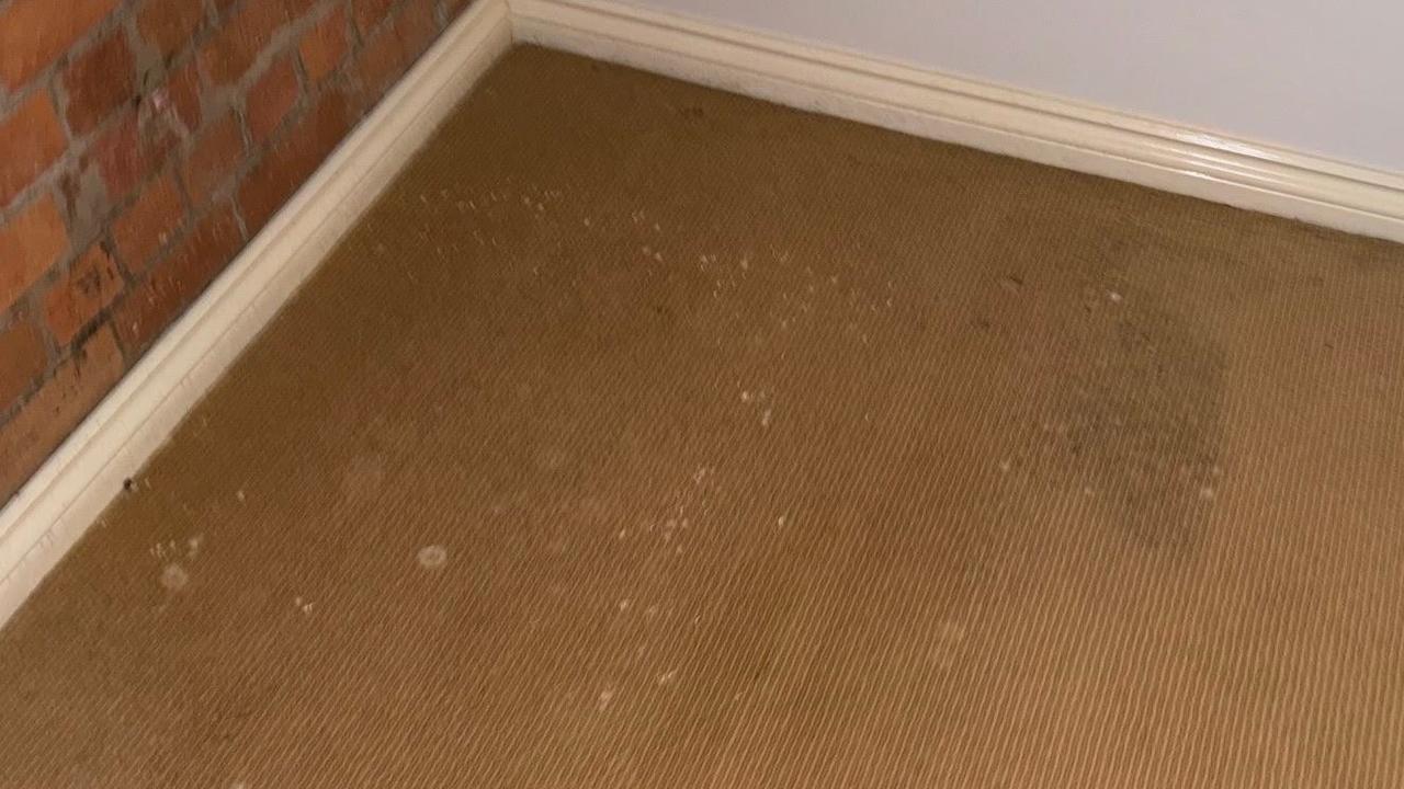 The carpet was soaked and had turned mouldy. Picture: Supplied