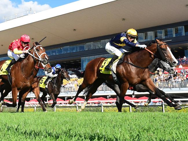 Blake Shinn guides Bittercreek to victory in the Group 2 Spirit Of Boom Classic for trainer Leon and Troy Corstens. Picture: Grant Peters - Trackside Photography