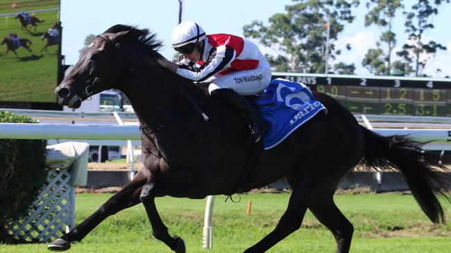 Blesk was held up twice in finishing third at Randwick on Sunday. Picture: Grant Guy