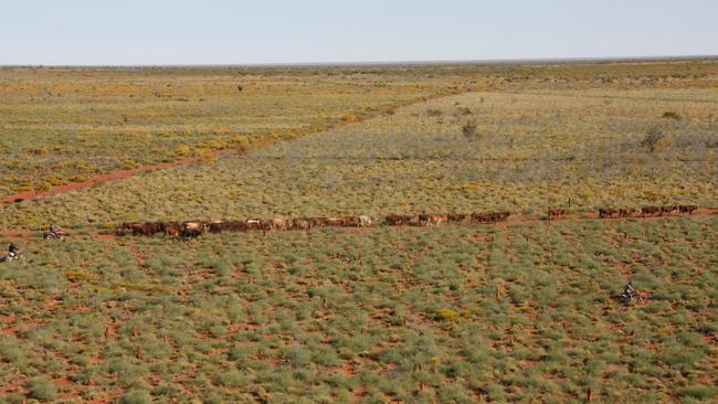 The Kimberley Cattle Portfolio comprises six pastoral leases and six subleases.