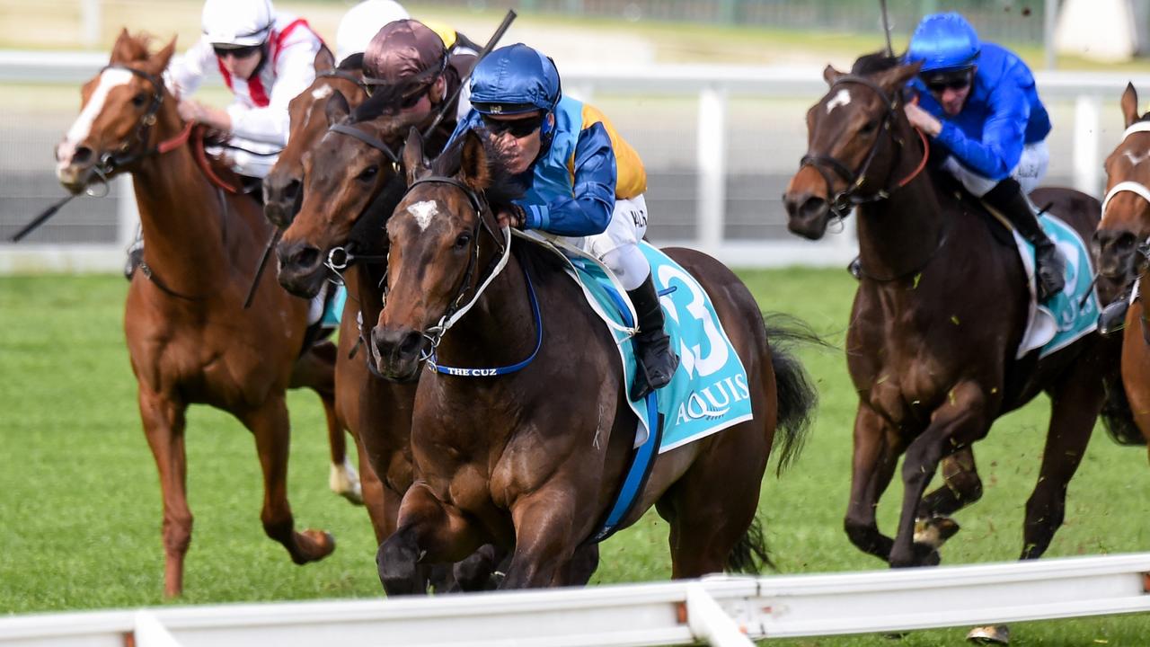 Aquis Jim Moloney Stakes for Pinchapoo