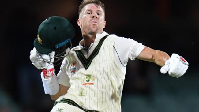 Pink flayed! Warner and Marnus put the lights out on Pakistan