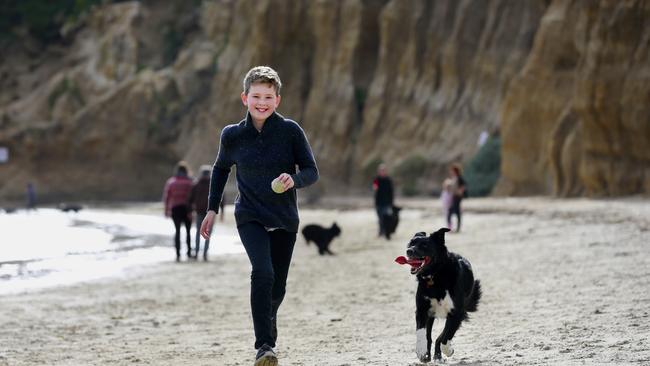 Fido can run free all summer at dog-friendly Tassels Cove.