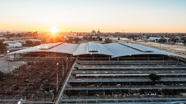 The Dalby Saleyards has been recognised as one of the top performing saleyards in Australia.