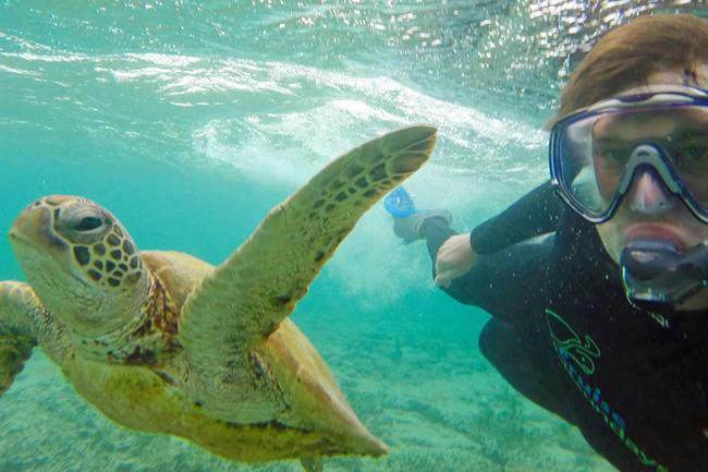 Allan Dixon’s animal selfies - turtle. Pic: @Daxon/Caters News