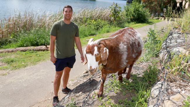 Schnitzel and her owner Beau Niha walk along the banks of Nepean River in Penrith. (AAP IMAGE / Angelo Velardo)