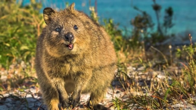 12 Things you didn't know about Australia