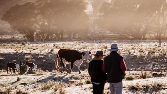 Federal Agriculture Minister David Littleproud has ramped up pressure on Aussie Farms to pull down its controversial map of farm locations. Picture: Supplied