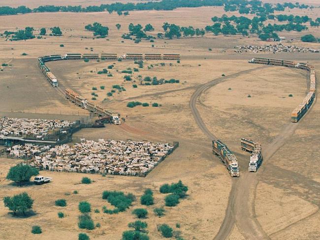 An aerial view of S Kidman &amp; Co Ltd at the Helen Springs Station.