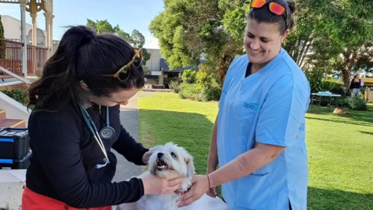 Dr Olivia and Nurse Lindsay of Pets in the Park Ipswich. Picture: Supplied