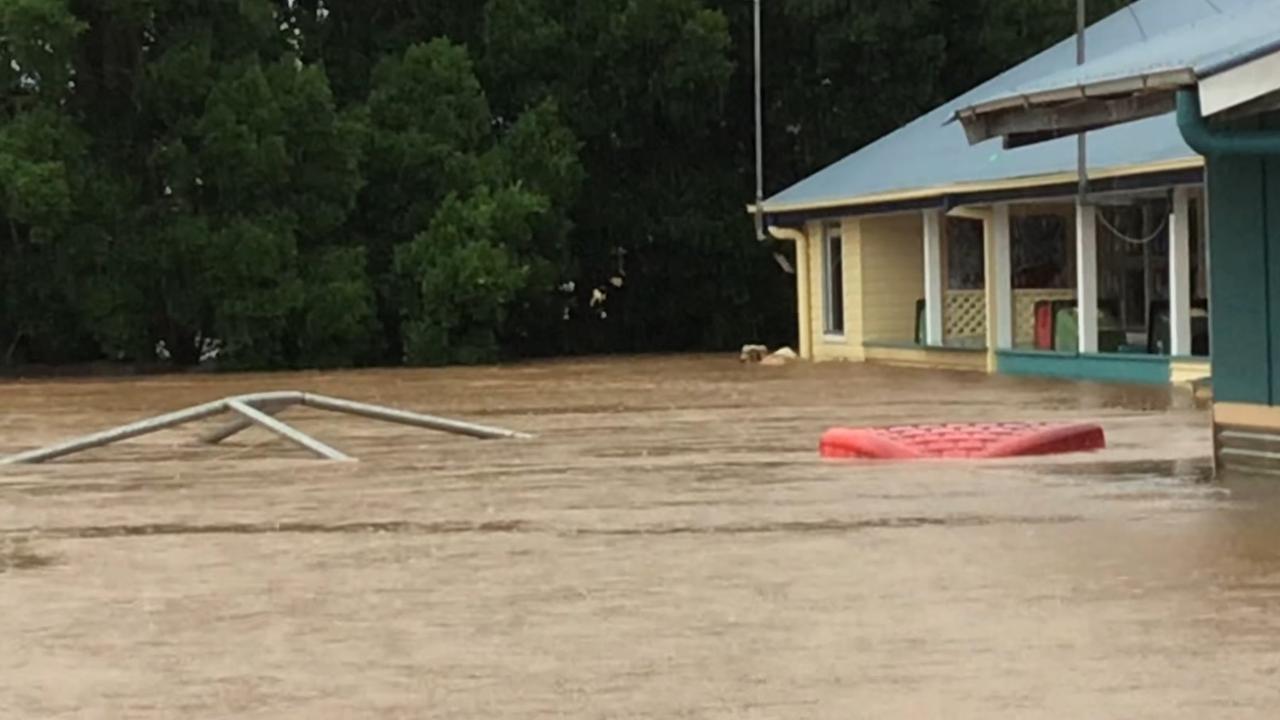 A cow floats in flood water at Our Lady Help of Christians Primary School in South Lismore on February 28, 2022.