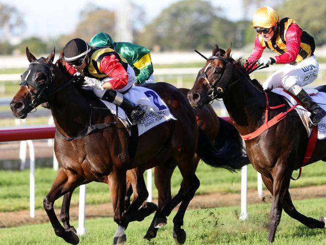 The Boom brothers: Temple Of Boom (black cap) gets the better of Spirit Of Boom at Eagle Farm in 2014. Picture: Darren England