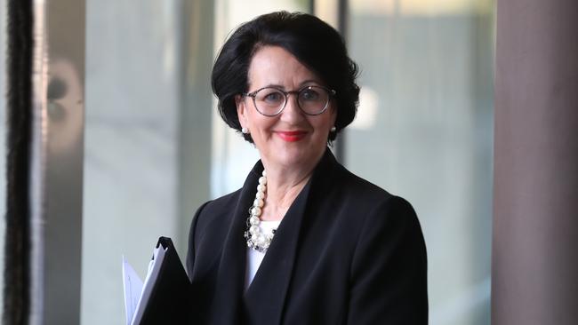 Planning Minister Vickie Chapman has revealed the cost of the state’s planning reforms could top $43.6m Picture: Tait Schmaal