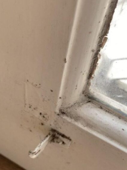 The mould was found in multiple areas of the house. Picture: Maddie Graham/Supplied