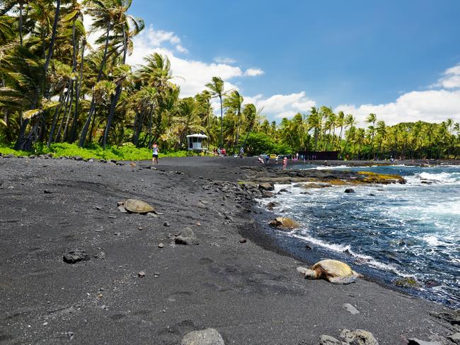 PUNALUU BEACH Found far south on the island of Hawaii, Punaluu Black Sand Beach requires a road trip to get it, but it’s worth it. It has everything you imagine a Hawaii beach to have, just swap out the typical golden sand for rich black sand created by eroded volcanic rock. There are swaying coconut trees, sunbaking Hawaiian green sea turtles, a lifeguard tower and on a sunny day plenty of tourists under beach umbrellas.